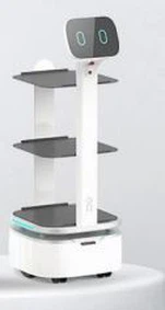 Greindur vélmenni til að afhenda matvæli T1